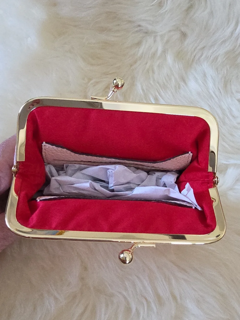NWT Dooney & Bourke Pink Blush Leather Large Kiss-Lock Framed Purse 🩷💋🎁